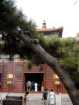 Lama Temple, Beijing, China