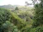 Rainforest Canopy Tour, Antigua