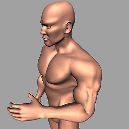 Bicep deformed using our approach