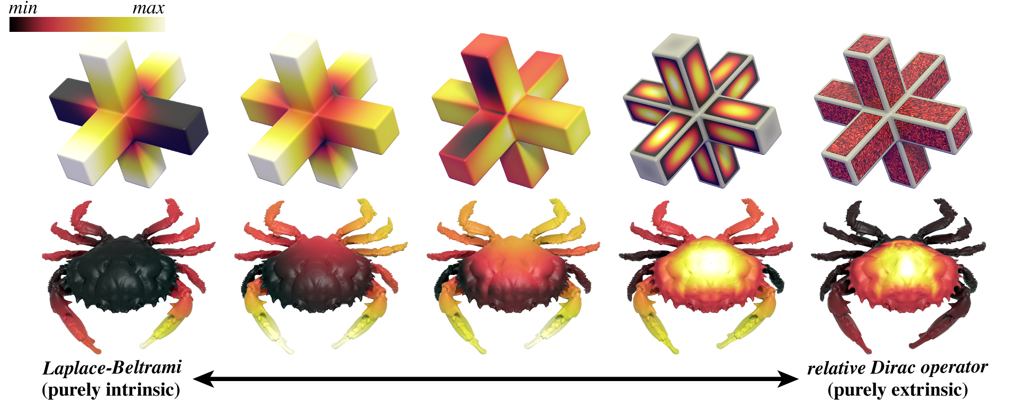 Not all differential operators encode the same information about shape. Here
 we visualize eigenfunctions of Laplace-Beltrami (left) which ignores
 extrinsic bending, and our relative Dirac operator (right) which
 ignores intrinsic stretching. In between is a continuous spectrum of
 operators that provide a trade off between intrinsic and extrinsic features.
 Bottom: These operators yield very different shape descriptors, here
 emphasizing either a pointy claw with large Gauss curvature (left)
 or the flat back of a shell with small mean curvature
 (right).