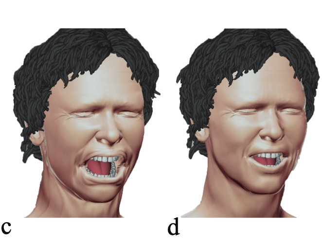 Estimated and corrected by manifold projection face pose