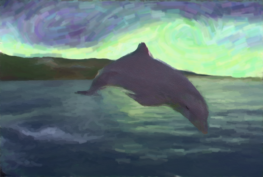 dolphin1