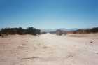 Desert road