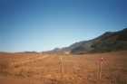 More desert