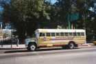 Bus, Tecate, BC
