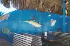 Seafood taco stand (mmmmmmm...), Tecate, BC