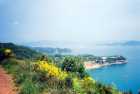 Palmaria Island, Italy