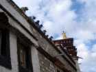 Roof workers, Barkhor Square, Lhasa, Tibet