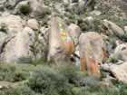 Drepung Monastery, Lhasa, Tibet