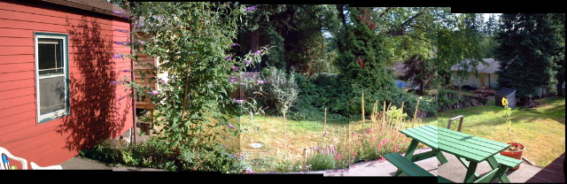 Roll 9 - 308