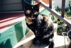 Delilah2