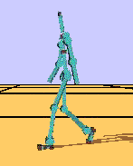 human-like gait