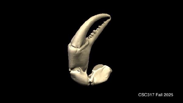 Crab Claw Render