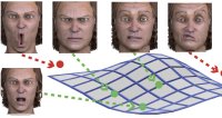 facemanifold