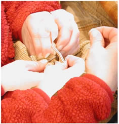 Example Shape Time Image