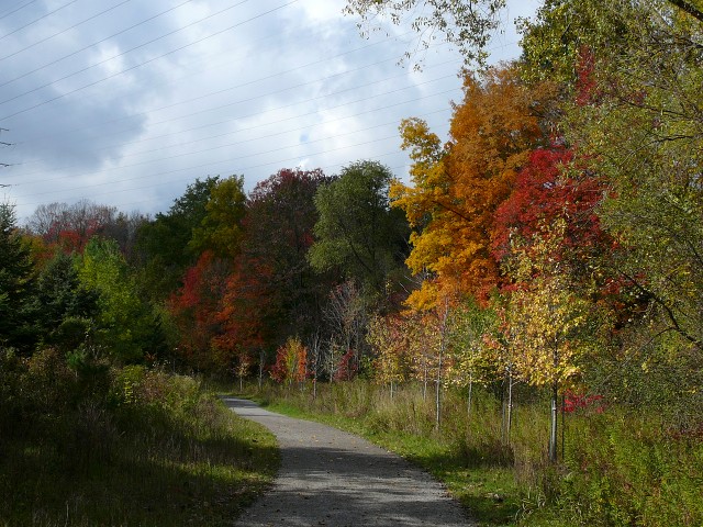 Don Valley 1