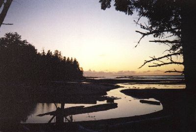 sunsetnels_lo.jpg (108800 bytes)