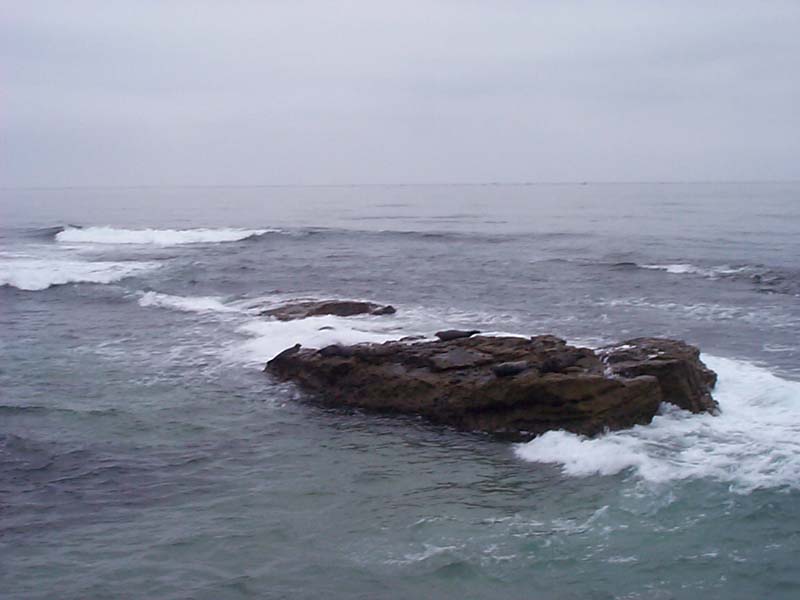 DCP01538 - See the seals