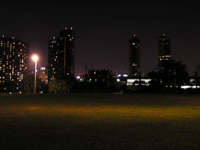 P7290039 - SD by night