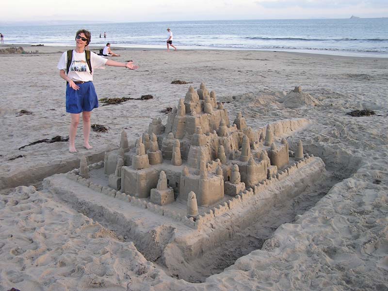 P8010170 - Cool castle