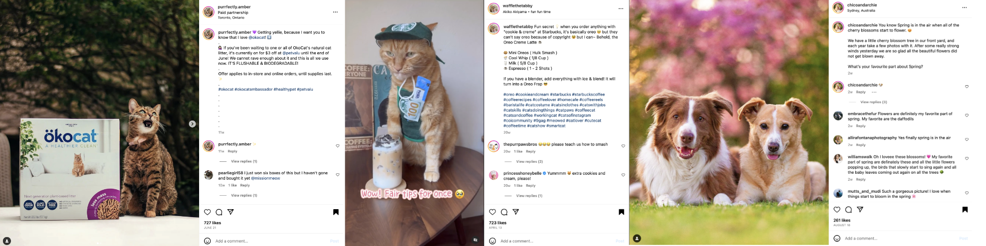 Teaser for Behind the Pup-ularity Curtain: Understanding the Motivations, Challenges, and Work Performed in Creating and Managing Pet Influencer Accounts