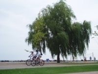 Toronto Islands picnic